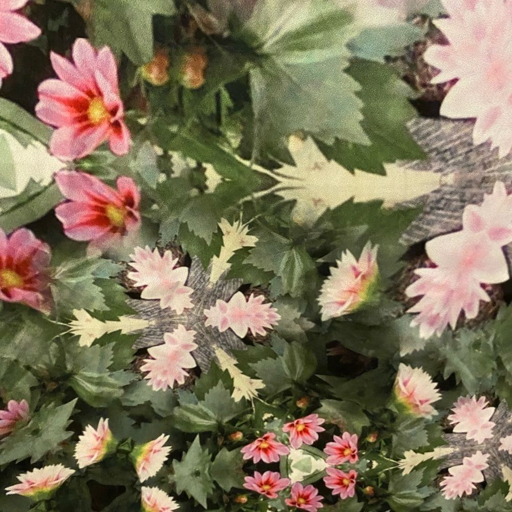 Ted Baker floral printed dress, size 4 - Picture 3 of 6